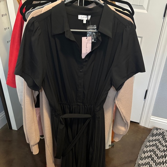 Elegant Black Pleated Dress - Picture 2 of 3